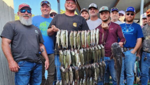 Best Fishing Techniques for Lake Greeson Beginners