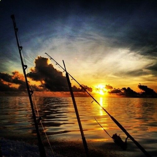 Deep Water Early Morning Fishing