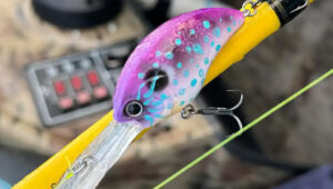 Top 10 Lures for Lake Greeson Fishing