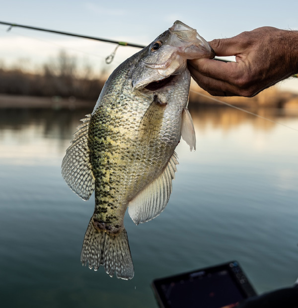 crappie fishing winters lake greenson