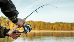 How Weather Affects Fishing at Lake Greeson