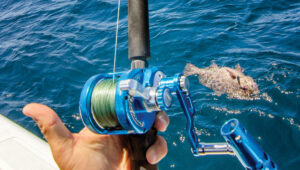Jigging Techniques That Work on Lake Greeson