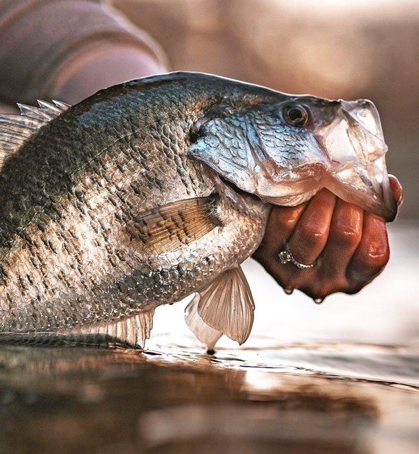 fishing in summer best time
