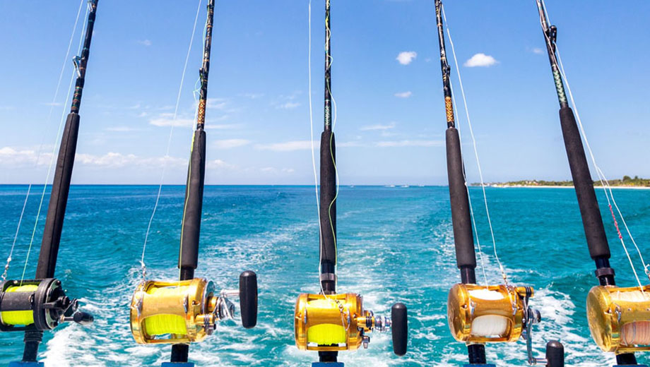 What to Bring on Your Fishing Trip